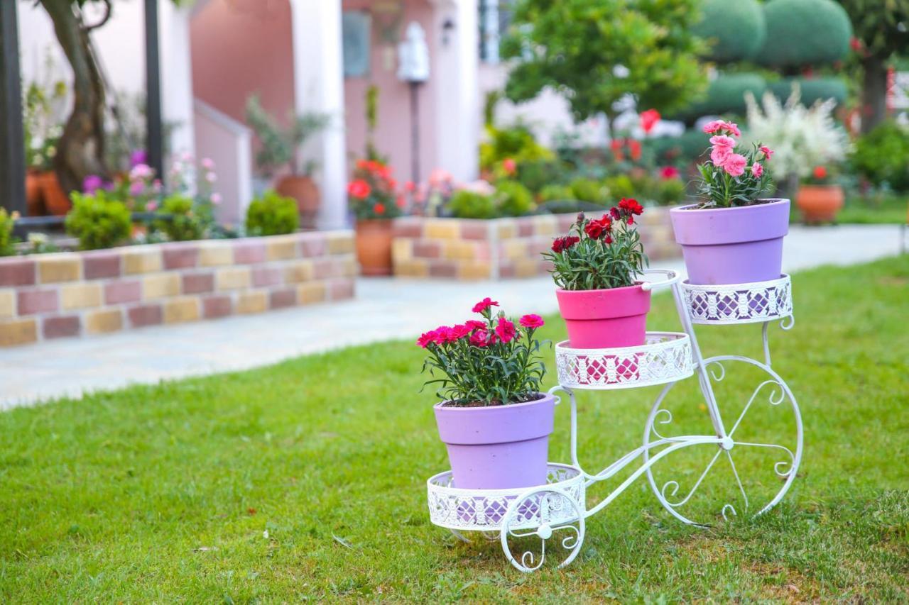 Apartmán Edem Garden Skala Potamia  Exteriér fotografie